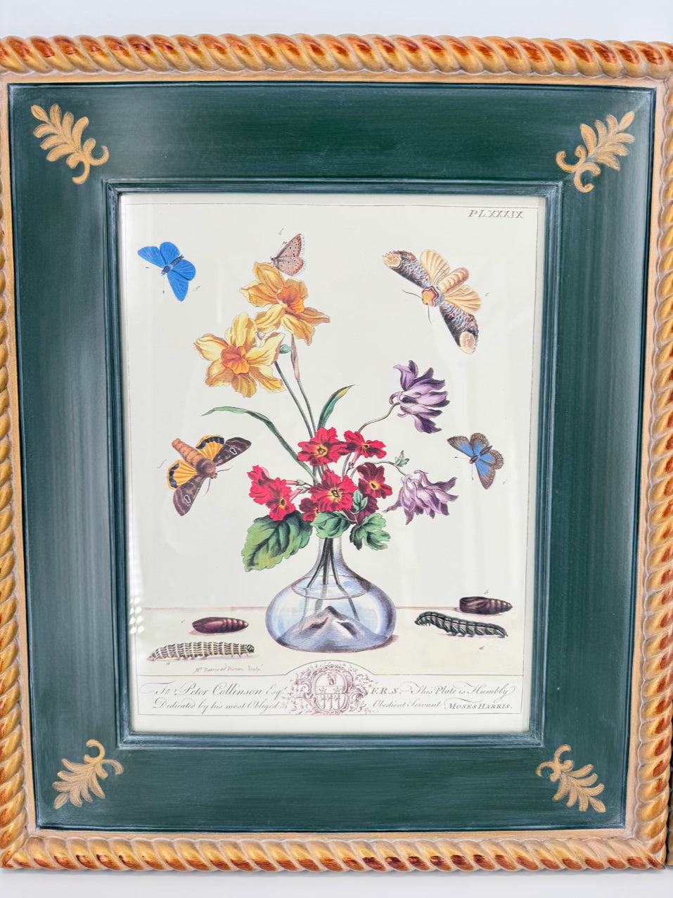 CHELSEA HOUSE Moses Harris Pair of Prints in Green Gilt Frames