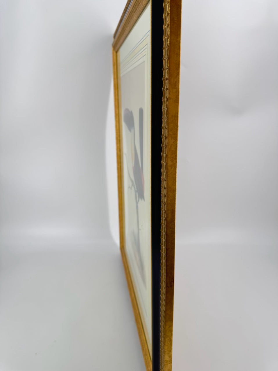 CHELSEA HOUSE SYD EDWARDS Toucan Print in Gold & Black Frame