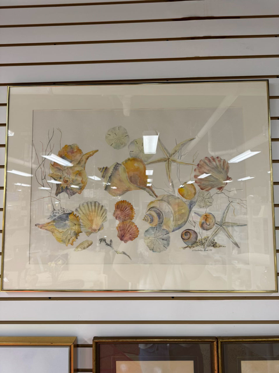 C. CHAMBERLAIN DAVIS Shells Watercolor in Gold Frame