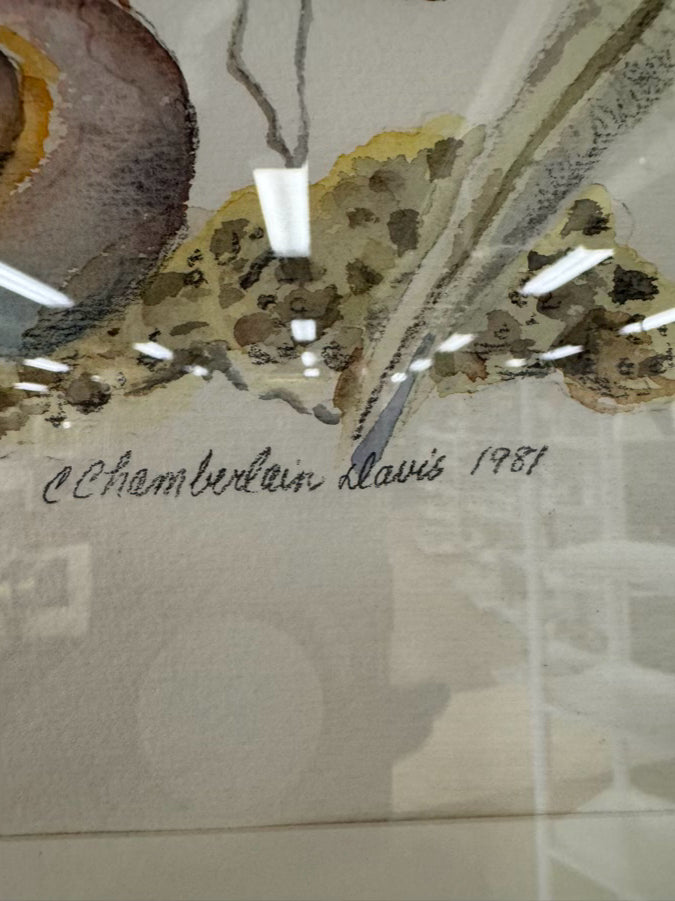 C. CHAMBERLAIN DAVIS Shells Watercolor in Gold Frame