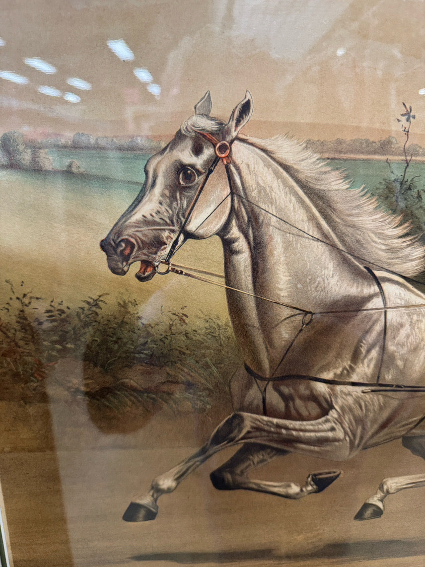 CURRIER & IVES "The Celebrated Trotting Horse Hopeful by Godfrey's Patchen" Lithograph in Wood Frame
