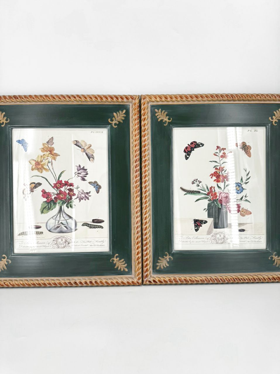 CHELSEA HOUSE Moses Harris Pair of Prints in Green Gilt Frames
