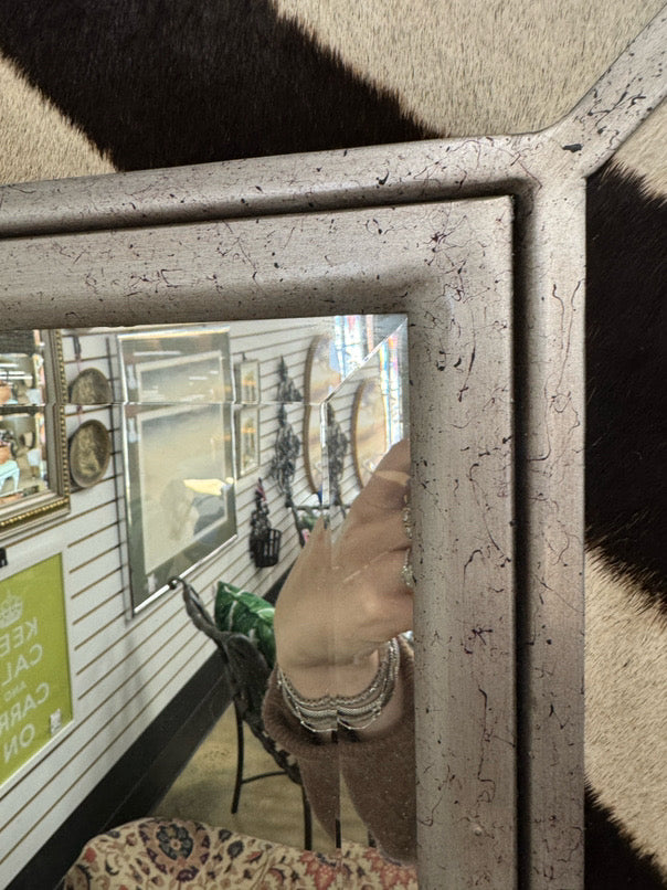 Silver Tone Zebra Hair Beveled Mirror