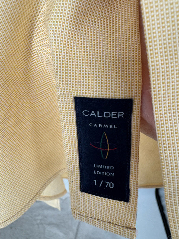 CALDER CARMEL Size L Yellow Long Sleeve Shirt