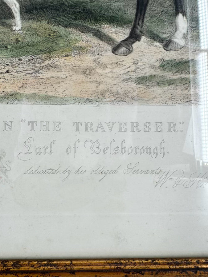 ANTIQUE W&H BARRAUD "Mr. Charles Davis on the Traverse" Engraving in Black & Gold Frame
