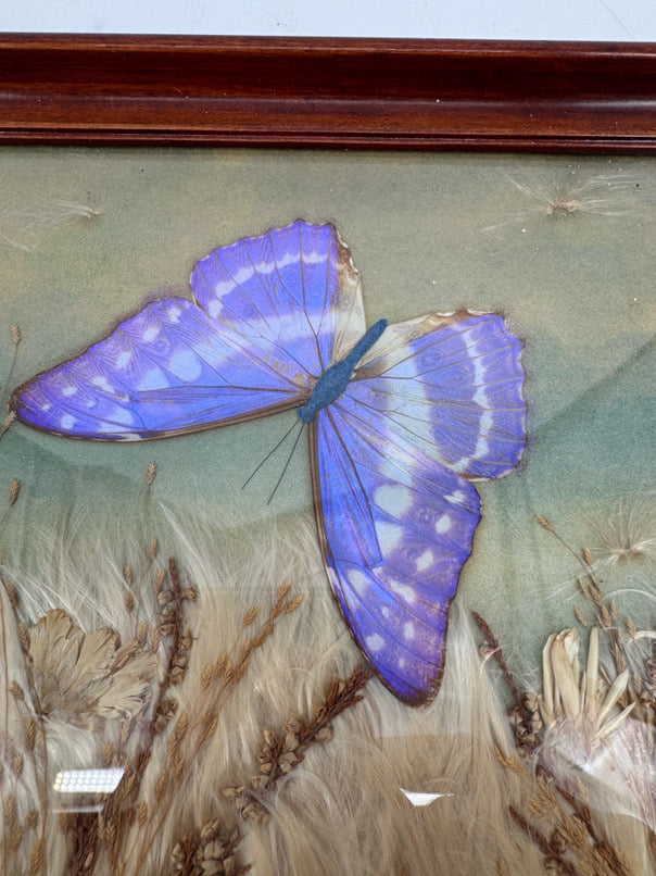 VINTAGE Glass & Wood Pressed Butterflies & Milkweed Tray