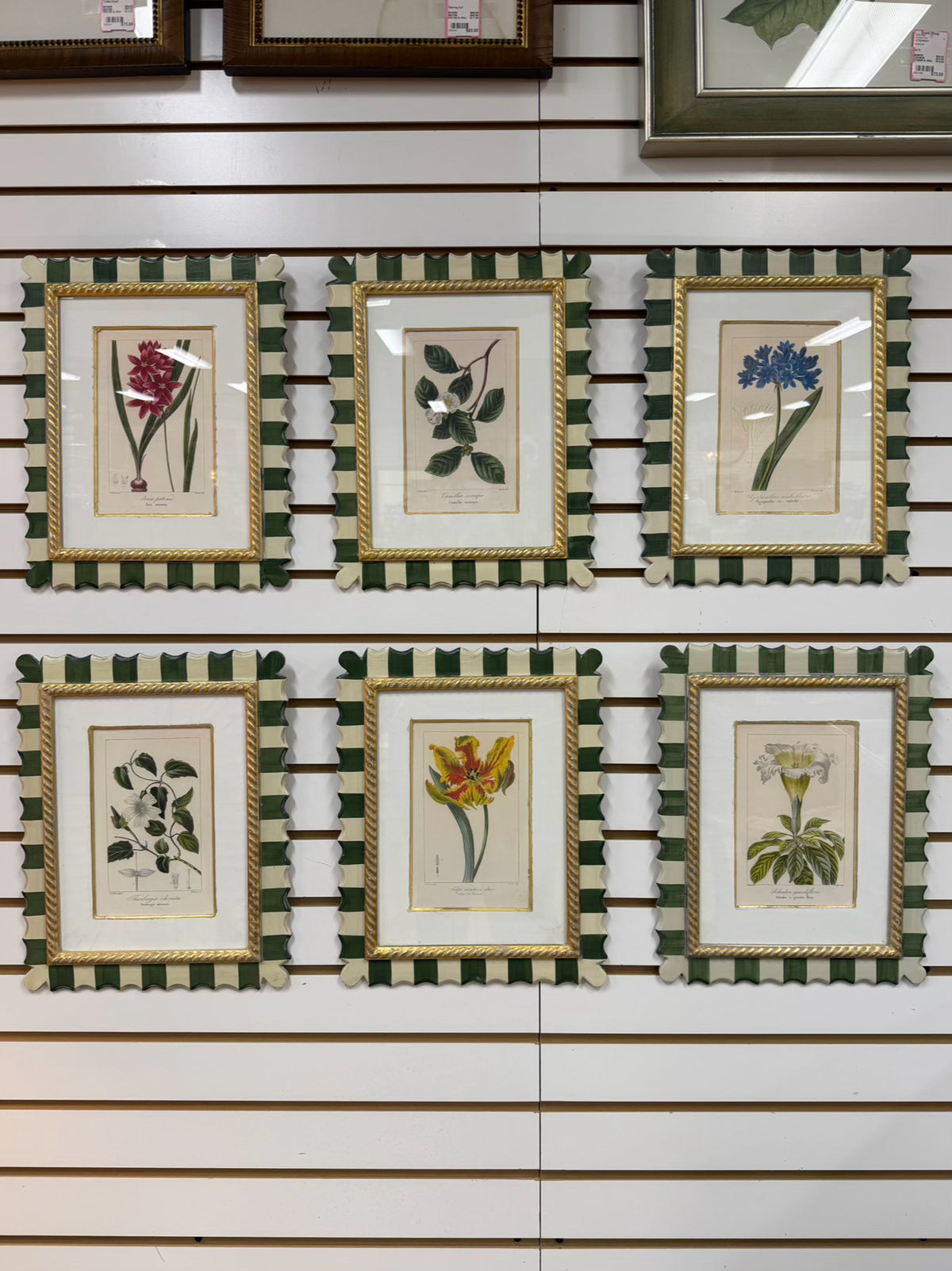 TROWBRIDGE Green & White Flower Botanicals Set Of 6 Framed Prints