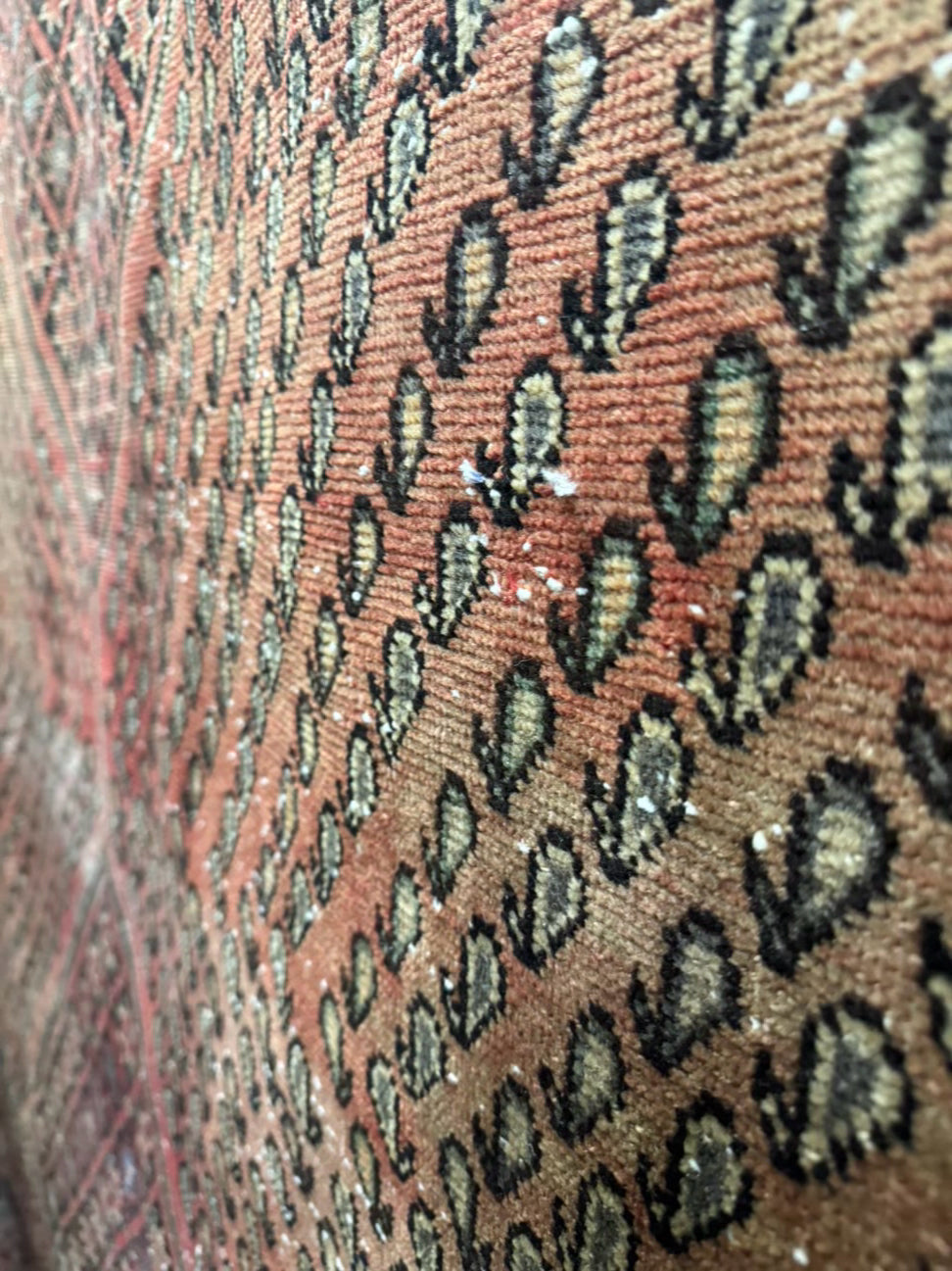 Shrimp & Gray Turkish Style Wool Area Rug