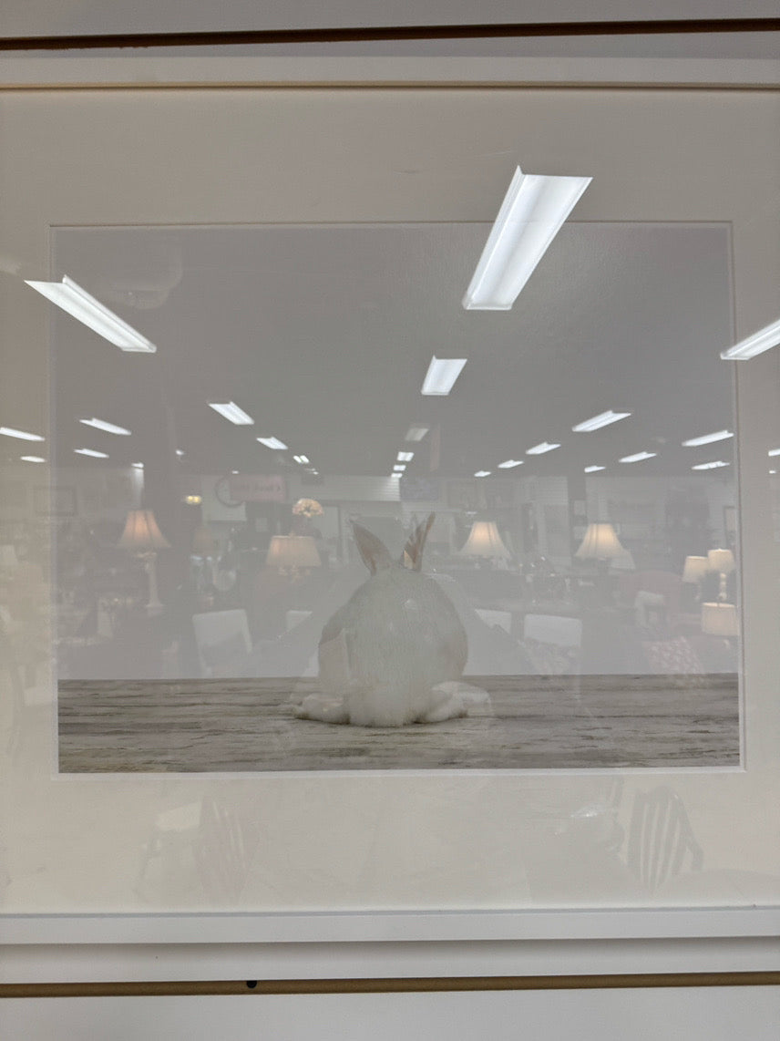 SHARON MONTROSE "Baby Bunny No. 3" Print in White Frame