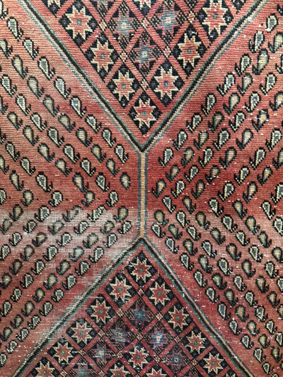 Shrimp & Gray Turkish Style Wool Area Rug