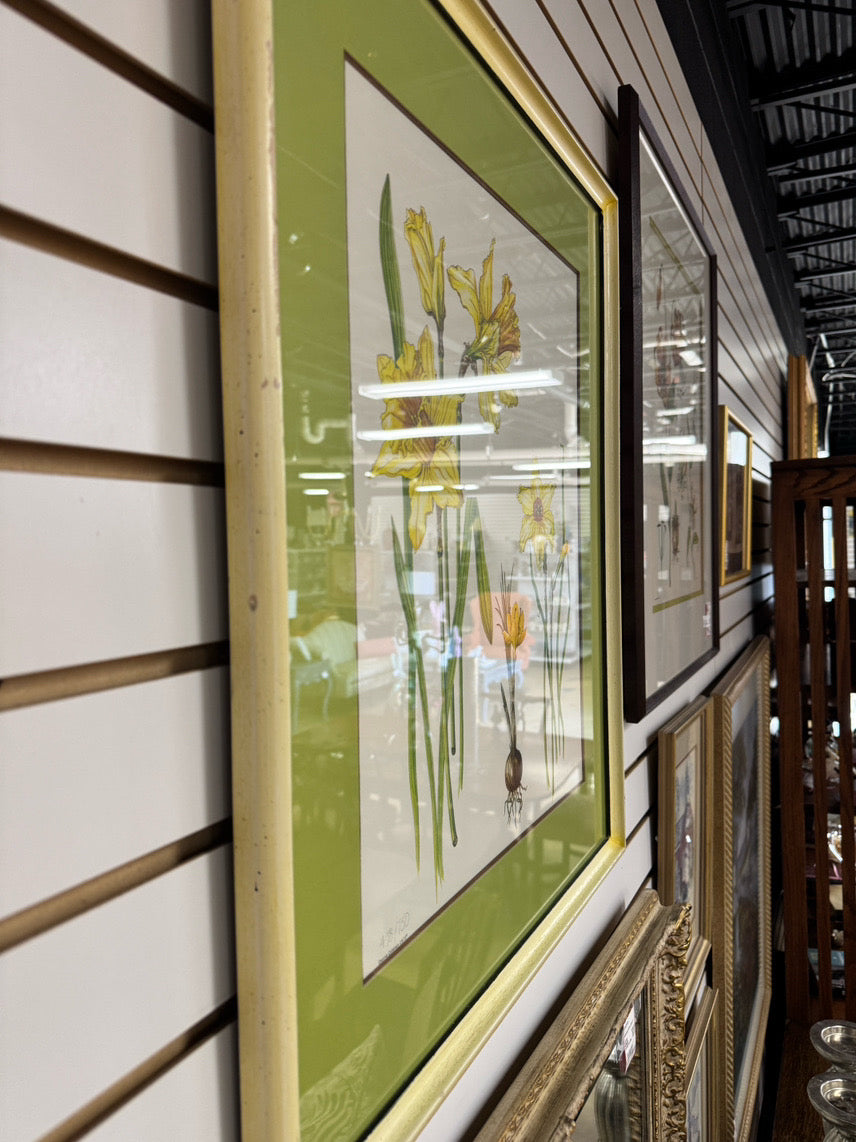 DIANNE COLEMAN Jonquils Signed Print in Cream Frame