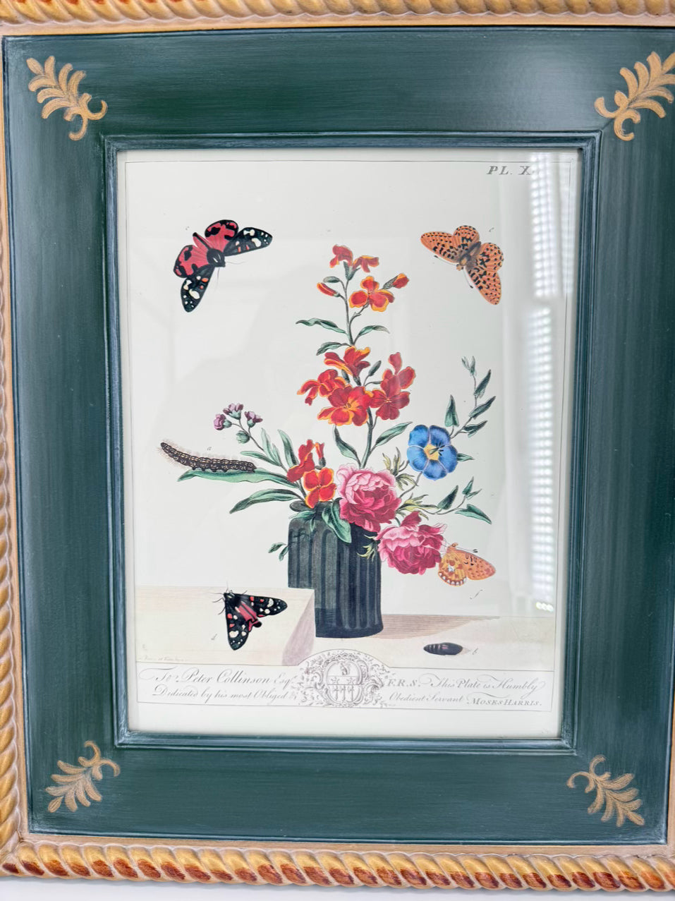 CHELSEA HOUSE Moses Harris Pair of Prints in Green Gilt Frames