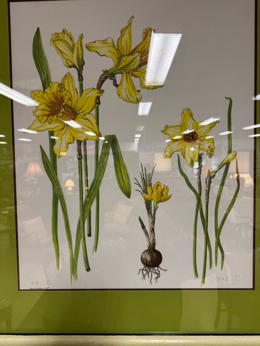 DIANNE COLEMAN Jonquils Signed Print in Cream Frame