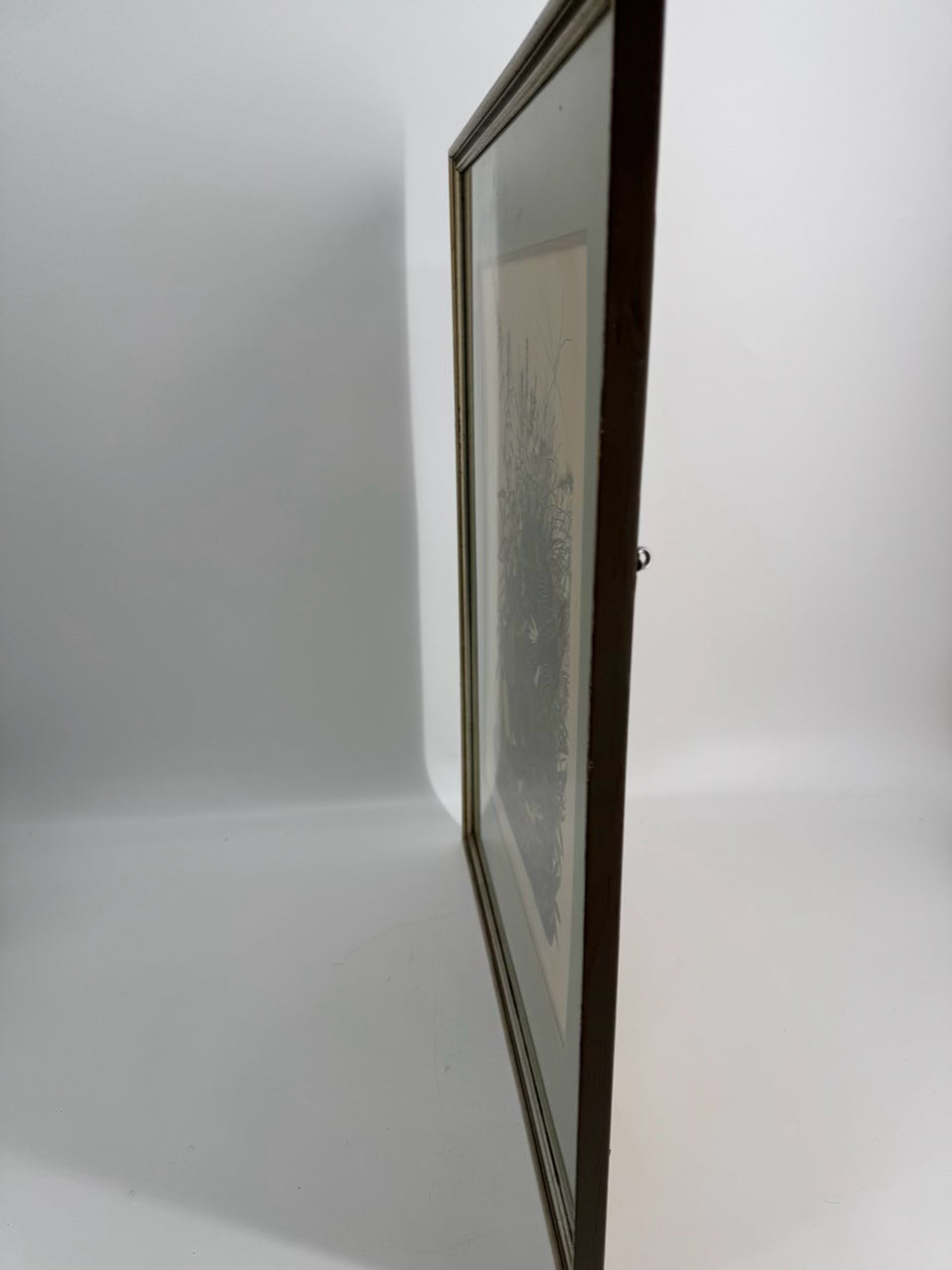 AUDUBON "Meadow Lark" Engraving in Green Mat & Silver Frame