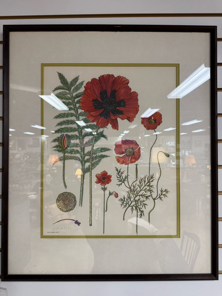 DIANNE COLEMAN Poppies Signed Print in Wood Frame