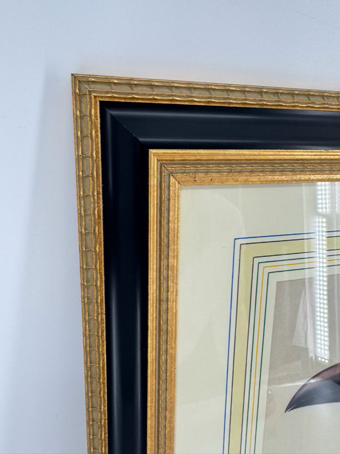 CHELSEA HOUSE SYD EDWARDS Toucan Print in Gold & Black Frame