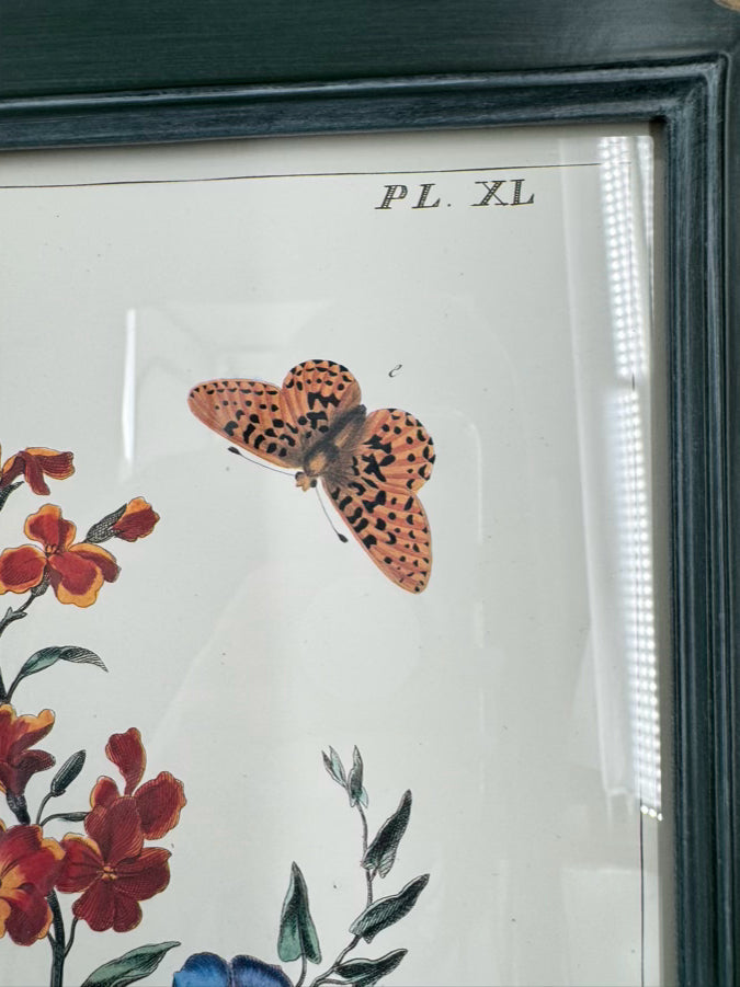 CHELSEA HOUSE Moses Harris Pair of Prints in Green Gilt Frames