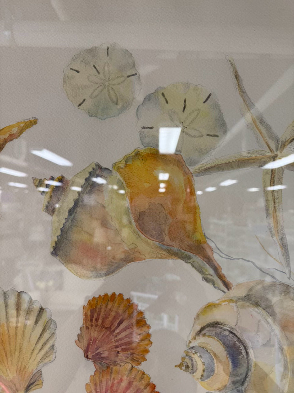 C. CHAMBERLAIN DAVIS Shells Watercolor in Gold Frame