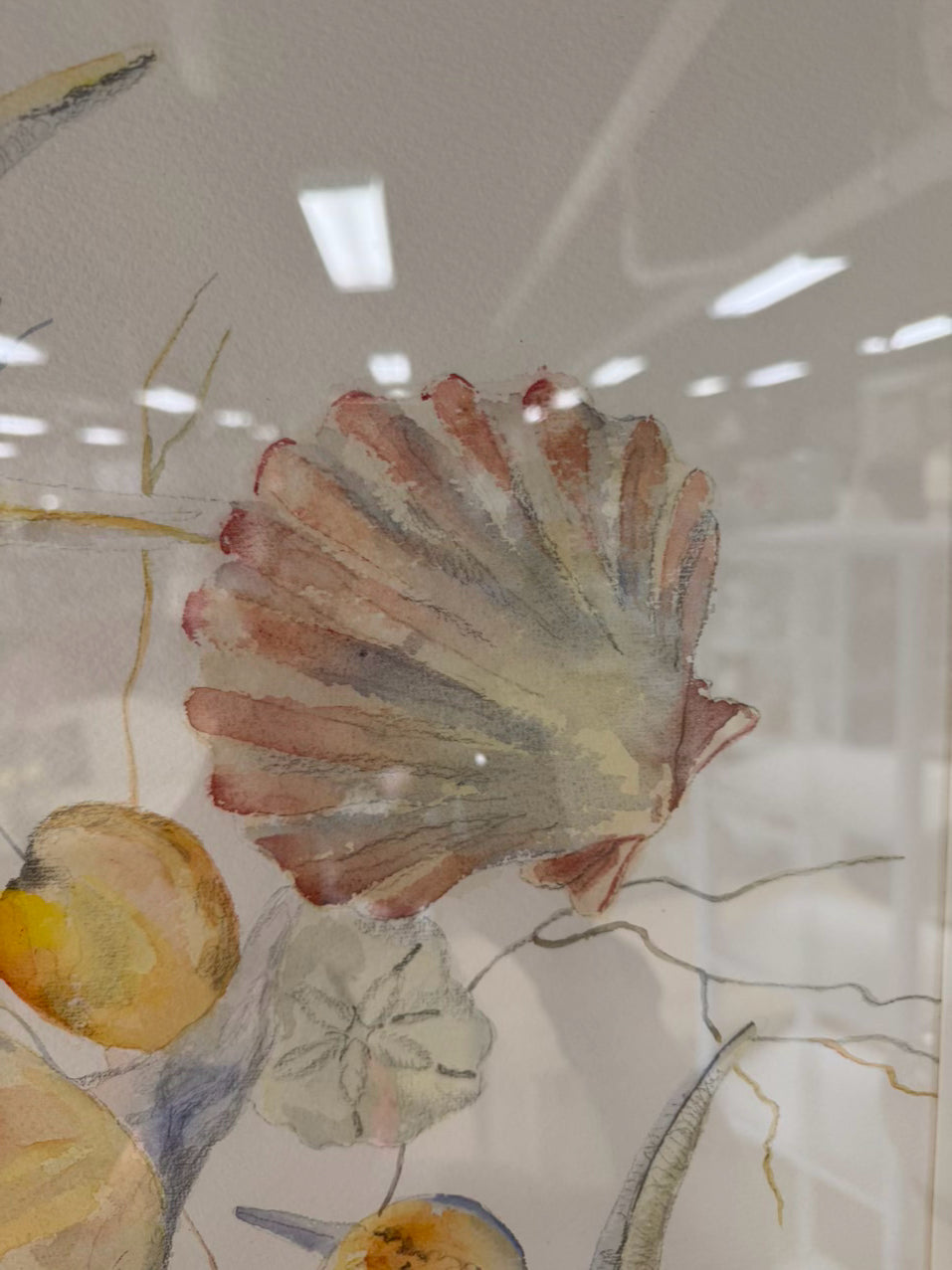 C. CHAMBERLAIN DAVIS Shells Watercolor in Gold Frame