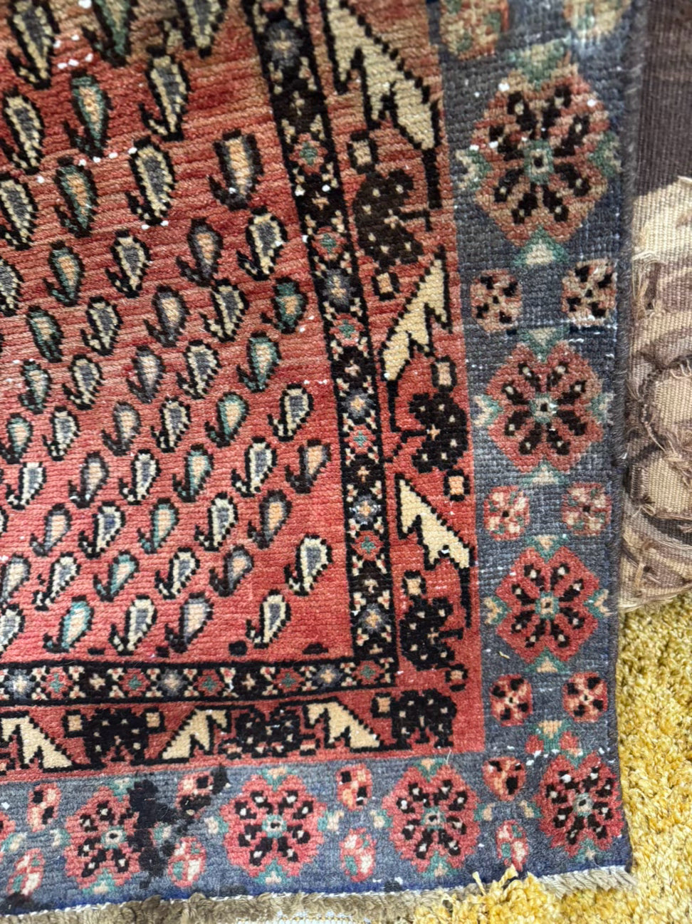 Shrimp & Gray Turkish Style Wool Area Rug