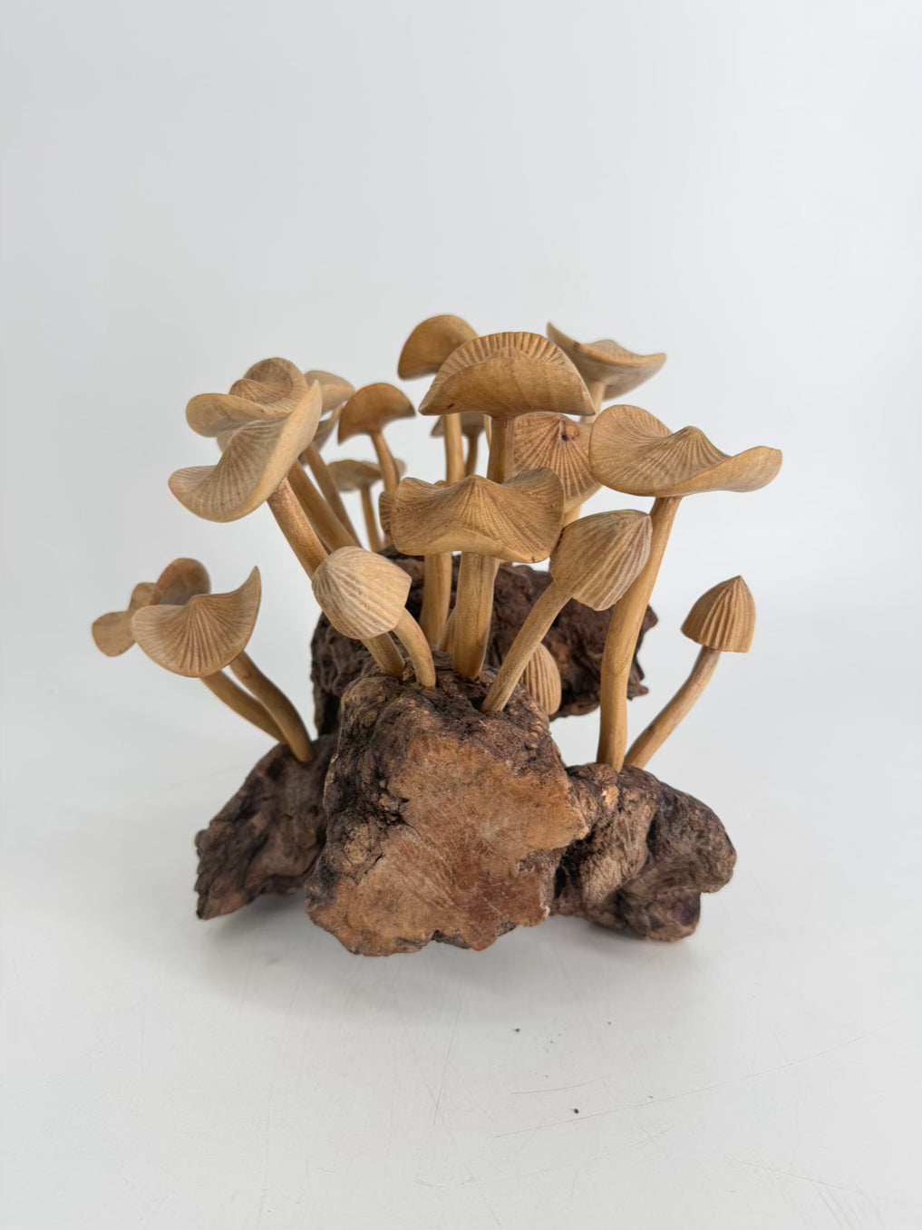 Tan & Brown Wood Carved Mushrooms On Wood Base