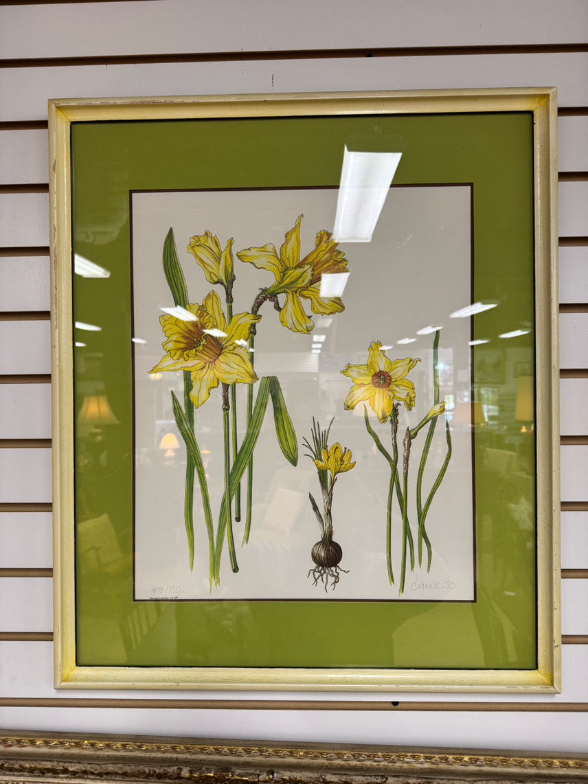 DIANNE COLEMAN Jonquils Signed Print in Cream Frame