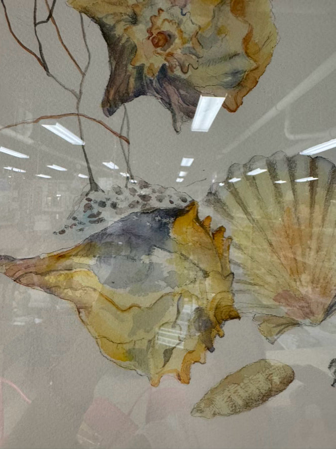 C. CHAMBERLAIN DAVIS Shells Watercolor in Gold Frame