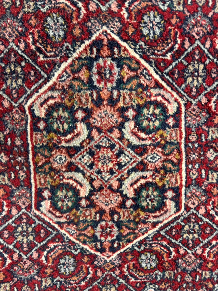 INDIA Green & Red Hand Knotted Wool Oriental Rug