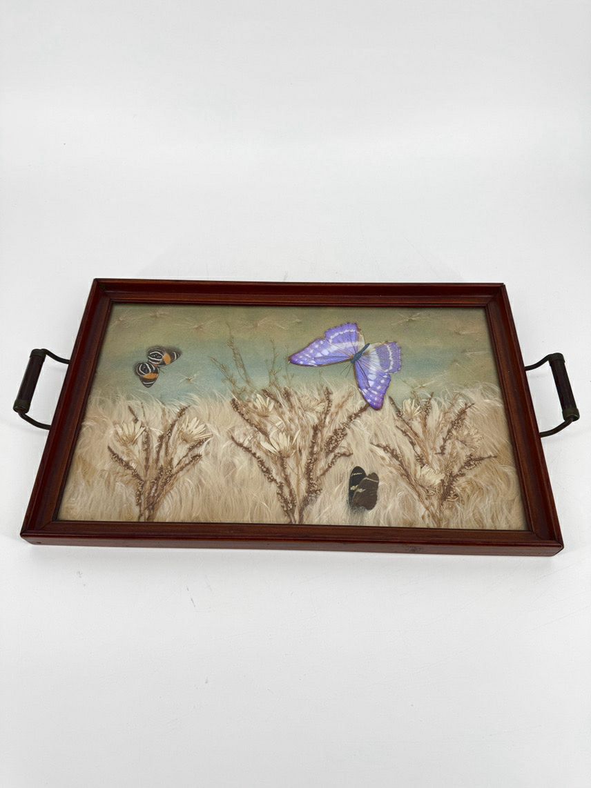 VINTAGE Glass & Wood Pressed Butterflies & Milkweed Tray