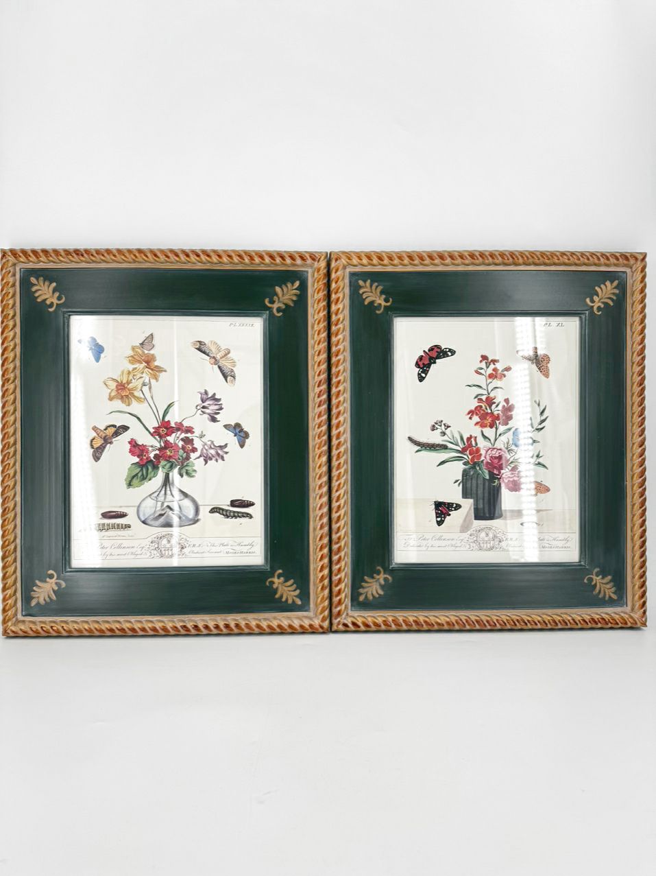 CHELSEA HOUSE Moses Harris Pair of Prints in Green Gilt Frames