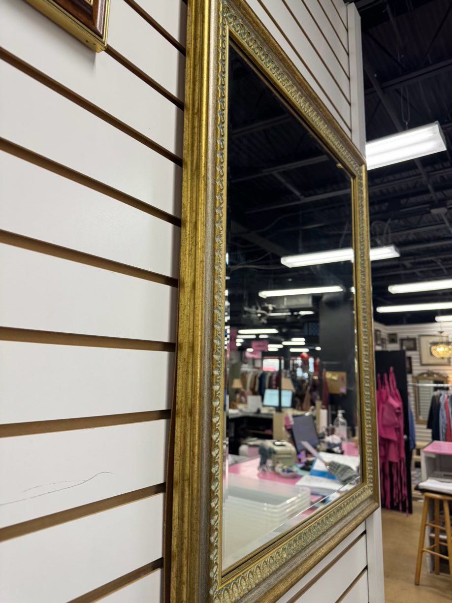 Brushed Gold & Silver Wood Beveled Mirror