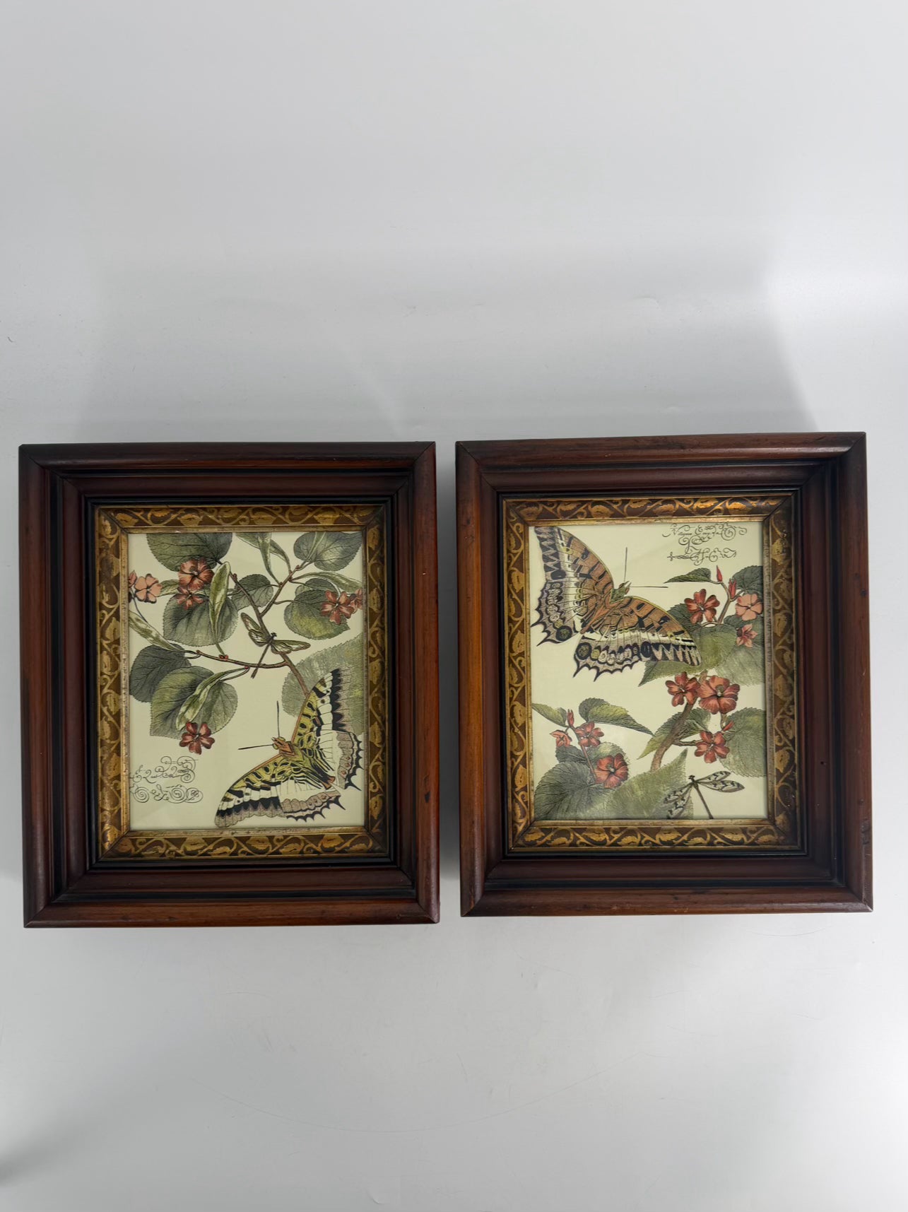 Butterfly Framed Pair Of Prints In Antique Wood Frames