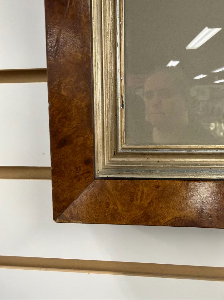 Actodromas Minuta Lithograph In Brown Frame w/ Cream Linen Mat