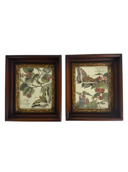 Butterfly Framed Pair Of Prints In Antique Wood Frames