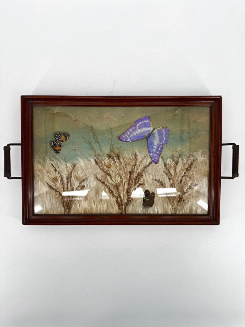 VINTAGE Glass & Wood Pressed Butterflies & Milkweed Tray