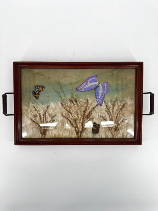 VINTAGE Glass & Wood Pressed Butterflies & Milkweed Tray