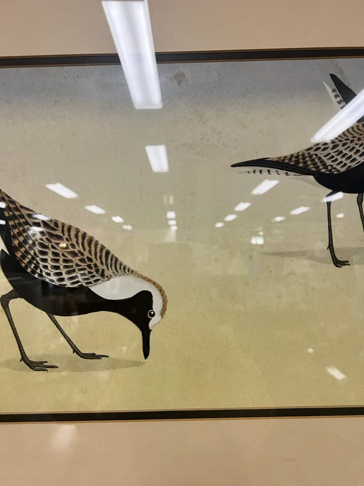 D. GROSE Hand Colored Black Bellied Plovers Lithograph in Brushed Gold Frame