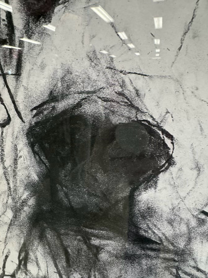 VALORIE DAVIDE "Rex" Print in Brushed Silver Frame