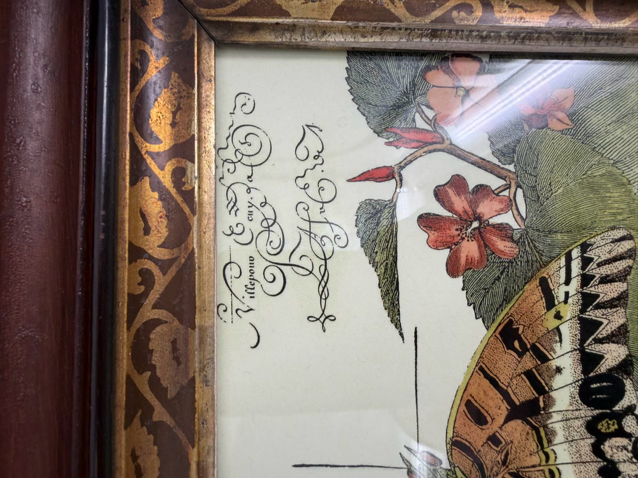 Butterfly Framed Pair Of Prints In Antique Wood Frames