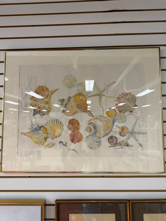 C. CHAMBERLAIN DAVIS Shells Watercolor in Gold Frame
