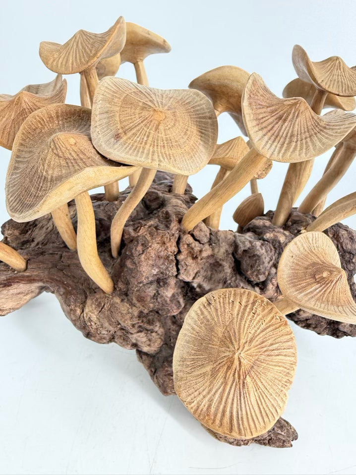 Tan & Brown Wood Carved Mushrooms On Wood Base