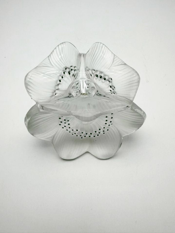 SIGNED LALIQUE Frosted Glass Anemone Candle Holders