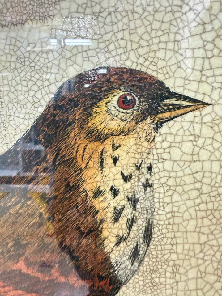 Large Bird Framed Print w/ Brick Colored Fabric Mat