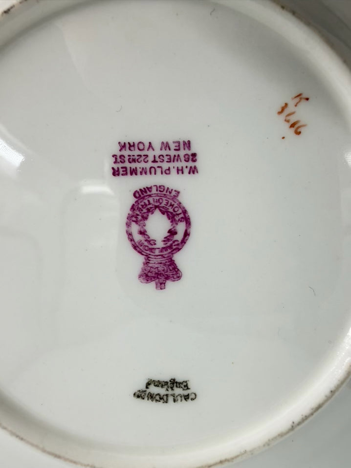 CAULDON White, Pink, Blue & Green China Breakfast Tray Dishware
