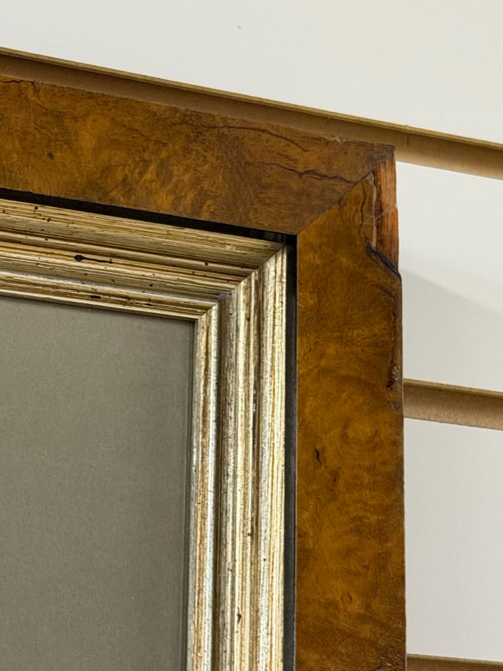 Larus Argentaus Lithograph In Brown Frame w/ Cream Linen Mat