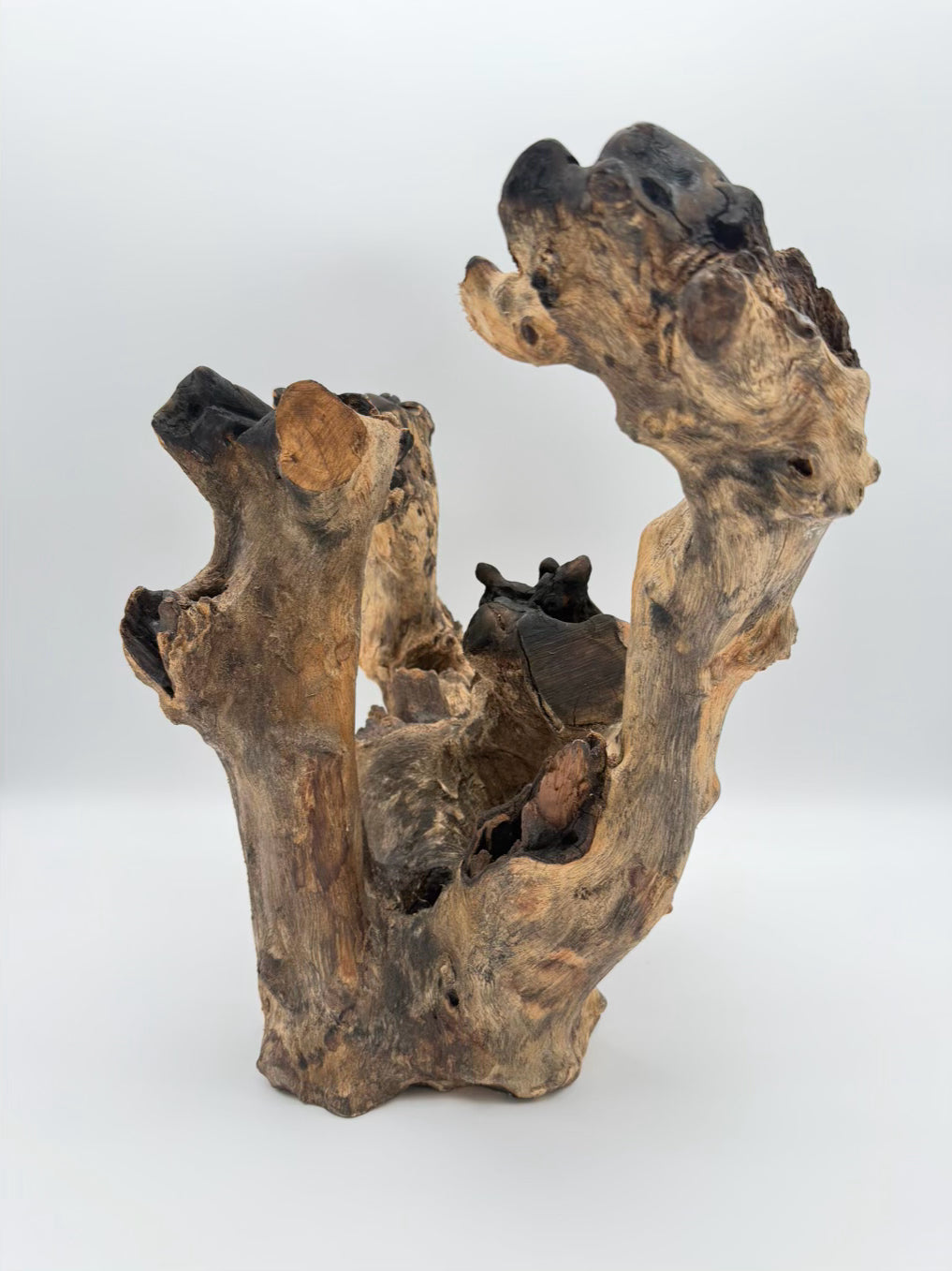 Brown Driftwood Centerpiece