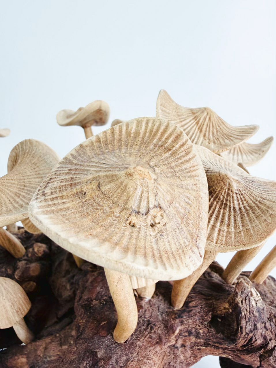 Tan & Brown Wood Carved Mushrooms On Wood Base