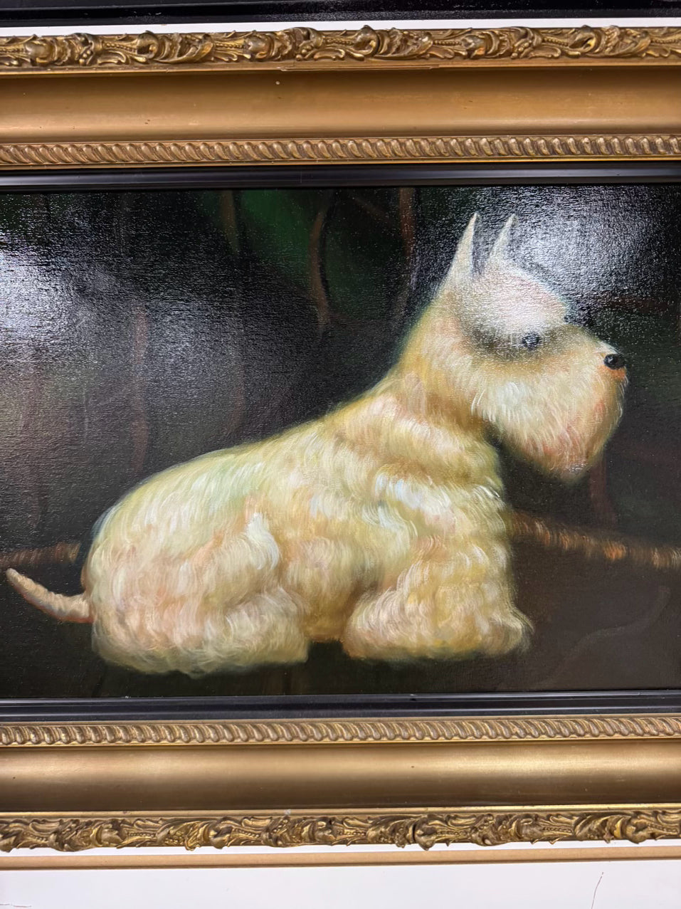 White Scottish Terrier Painting in Ornate Gold Frame