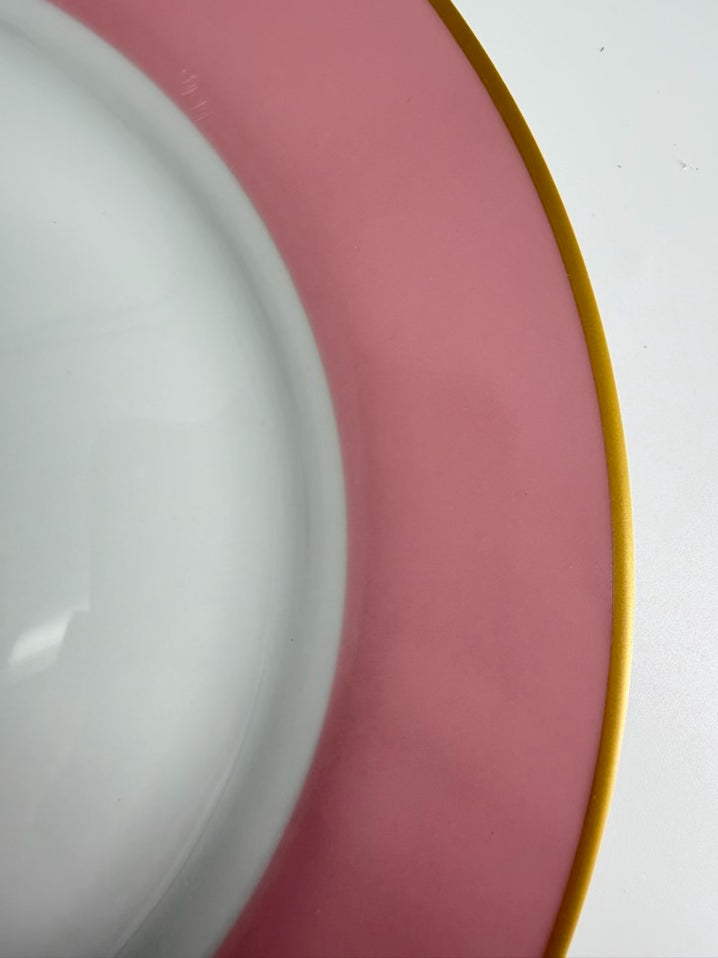 WILLIAM & SONOMA Multi Colored Ceramic Plates Setting for 8