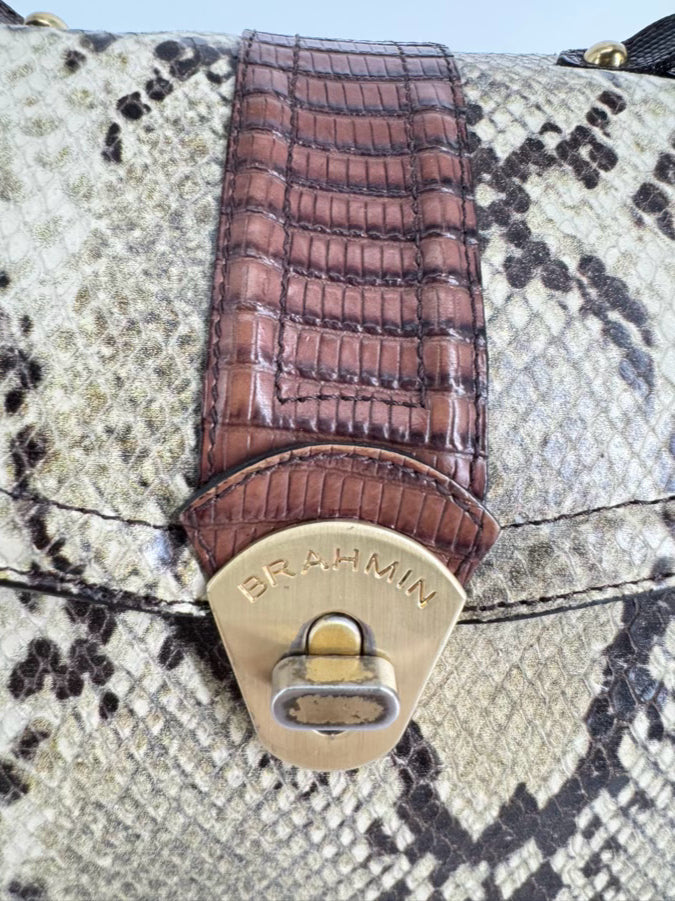 BRAHMIN Cream & Brown Leather Snake Print Purse
